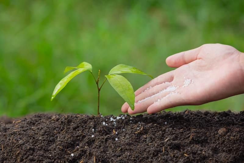 MKP Fertilizer: Empowering Agriculture