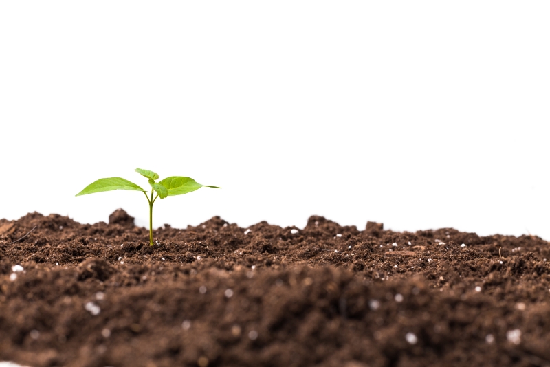 Phosphoric Acid in Fertilizer Production