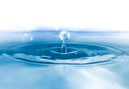 The Evolving Landscape: Sodium Fluorosilicate Market Outlook