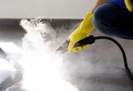 Sulfamic Acid: Unveiling its Diverse Industrial Tapestry