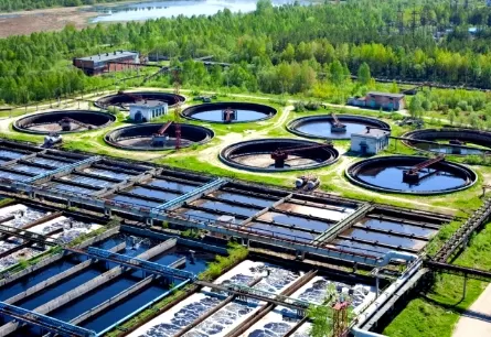 What is sodium tripolyphosphate STPP used for? Why add STTP to laundry detergents?