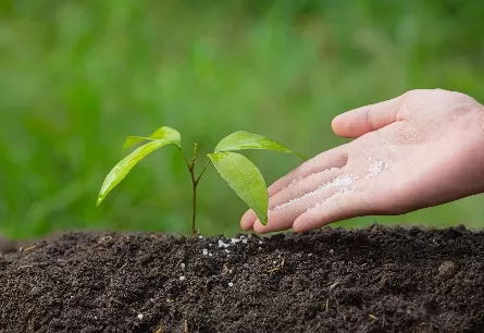 What is monopotassium phosphate? Formula, Applications, and Benefits