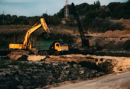 What is Oxalic Acid? What is A Oxalic Acid Used for?