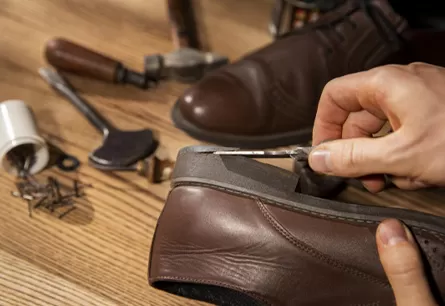 The Role of Chloroprene Rubber in Modern Adhesives