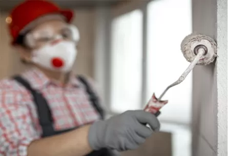 Texanol Uses in Paint: Benefits and Application Techniques