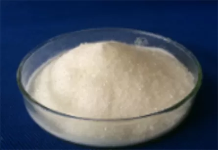 What Is the Difference Between UV Absorbers and Light Stabilizers?