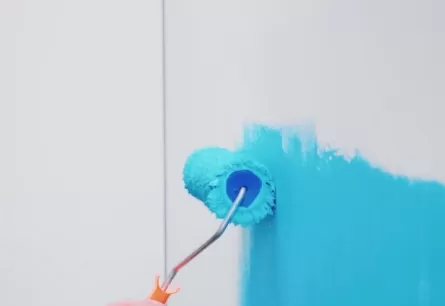 How Does Succinic Acid Enhance the Stability of Interior Latex Paint?